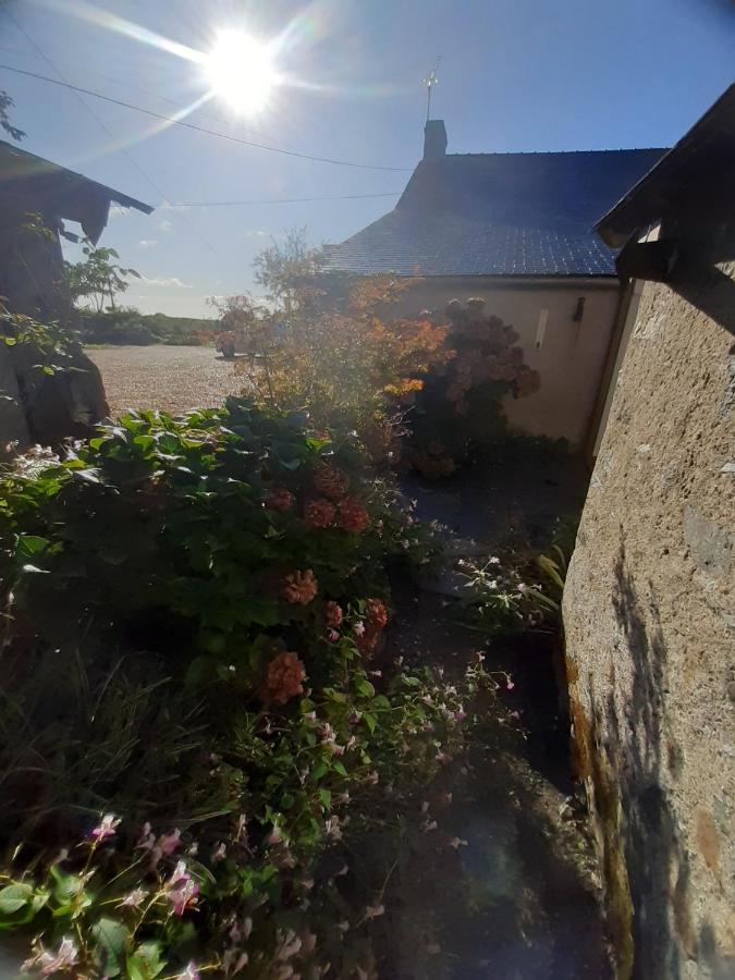 Maison A La Campagne - Piscine Beaulieu-sur-Layon Esterno foto